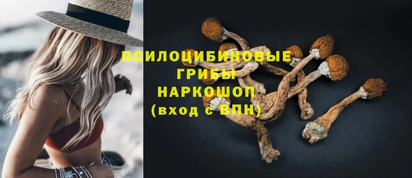 ешки Покровск