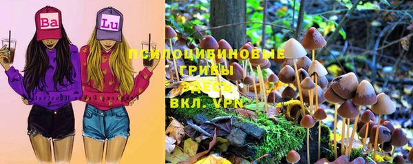 твердый Ленинск-Кузнецкий